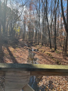 The Road To Harmony Is Within&nbsp;You