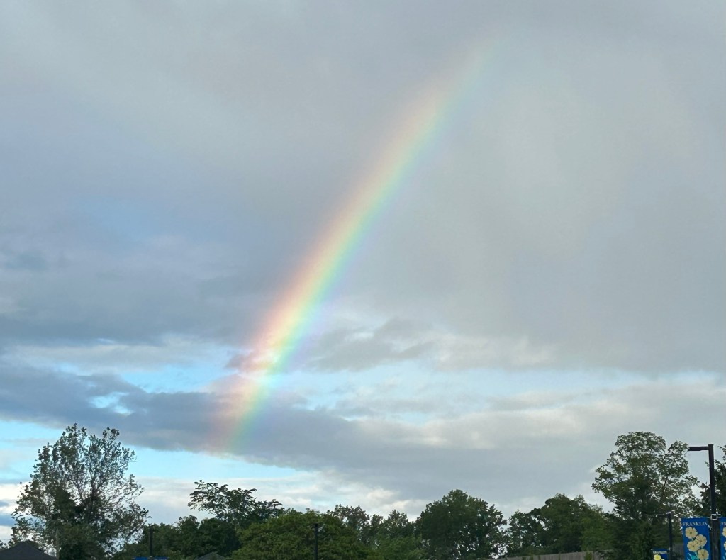 A blessing in&nbsp;disguise