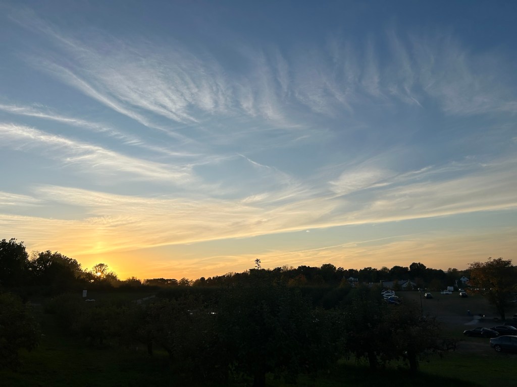 Finding Strength: The Power of Letting Go and&nbsp;Trusting.